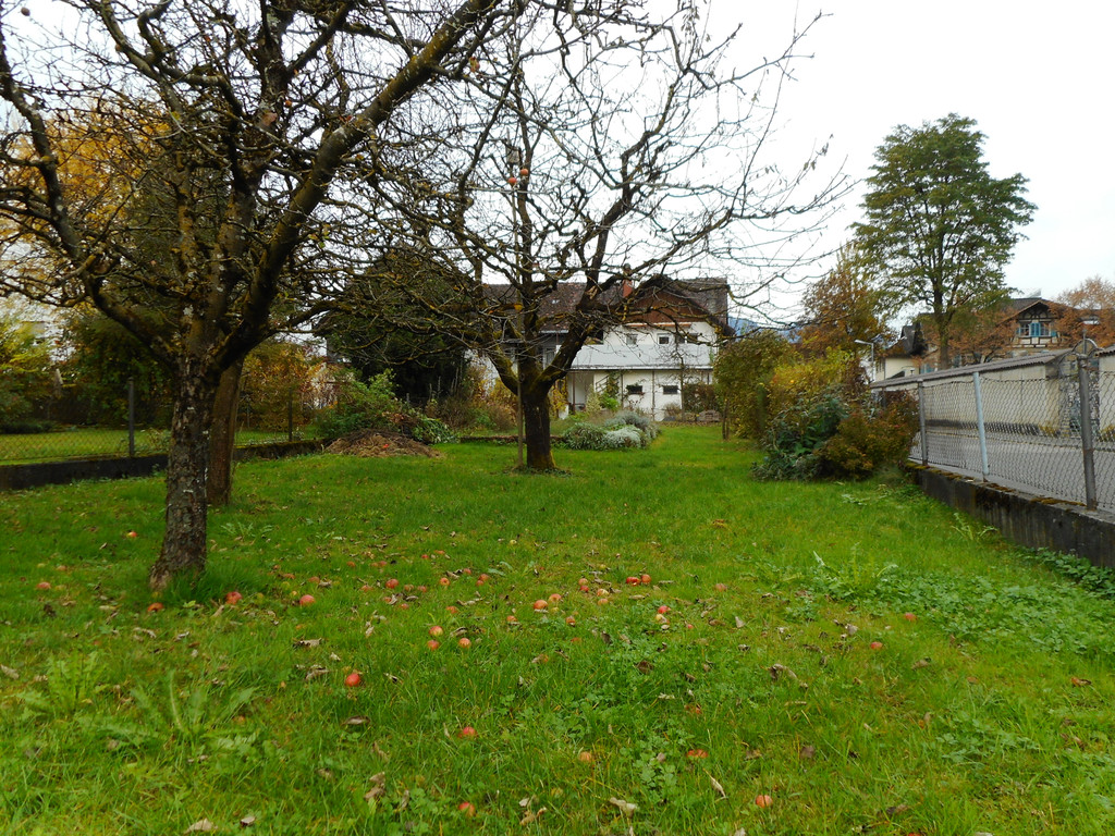 DSCN1155.JPG