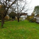DSCN1155.JPG