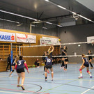 IMG_0478.JPG