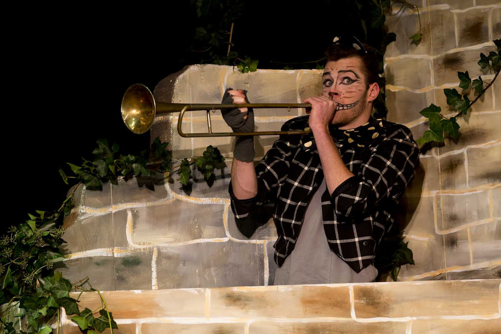 Alice-Wunderland063.jpg