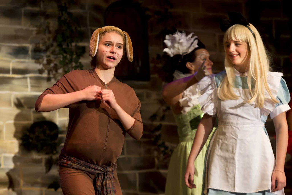 Alice-Wunderland134.jpg