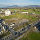 20160202hk 16-2.JPG