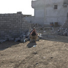 Mideast_Iraq_Mosul_Casualties_3.jpg