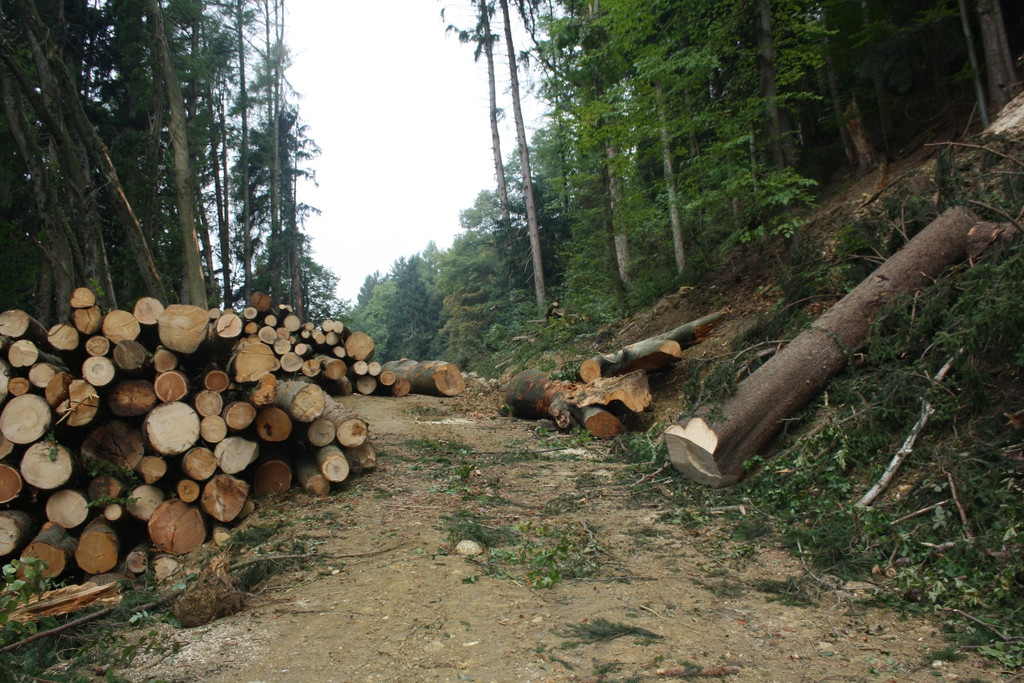 Klausm__hle Steinschlagsicherung A Forststra__e 17-10-2016 _11_.JPG