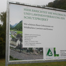 Klausm__hle Steinschlagsicherung A Forststra__e 17-10-2016 _2_.JPG