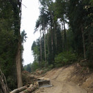 Klausm__hle Steinschlagsicherung A Forststra__e 17-10-2016 _7_.JPG