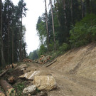 Klausm__hle Steinschlagsicherung A Forststra__e 17-10-2016 _9_.JPG