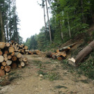 Klausm__hle Steinschlagsicherung A Forststra__e 17-10-2016 _11_.JPG