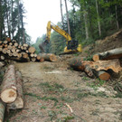 Klausm__hle Steinschlagsicherung A Forststra__e 17-10-2016 _17_.JPG