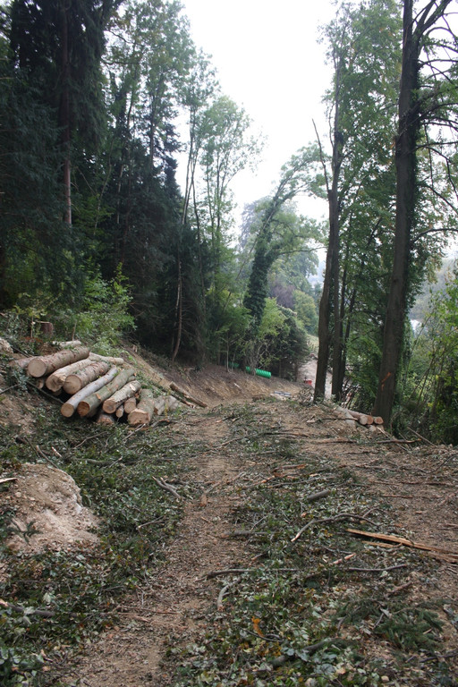Klausm__hle Steinschlagsicherung A Forststra__e 17-10-2016 _18_.JPG