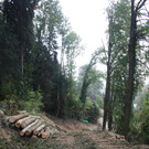 Klausm__hle Steinschlagsicherung A Forststra__e 17-10-2016 _18_.JPG