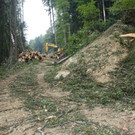 Klausm__hle Steinschlagsicherung A Forststra__e 17-10-2016 _19_.JPG