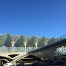 20161108_095301417_iOS.jpg
