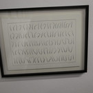 IMG_9951.JPG