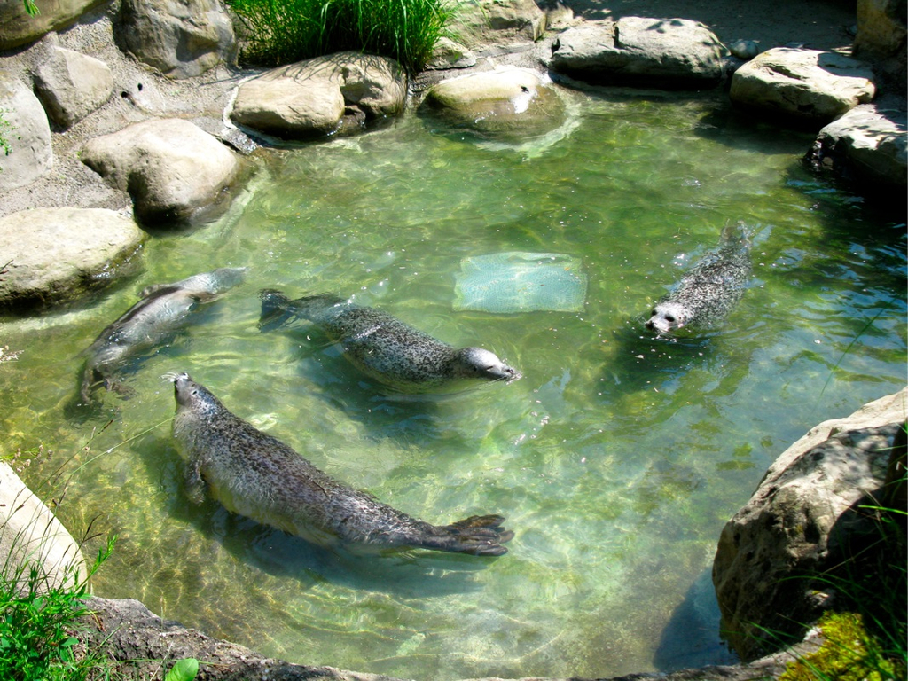 BK_z__richzoo 21_jpg-1277759743