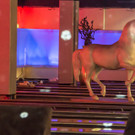 VIP Party Ocean Park Wien 10_11_2016 _33 von 79_.jpg