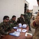 AFP_HZ5QG.jpg