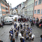Faschingsstart in Feldkirch (2016)