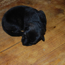 DSC_0464.JPG