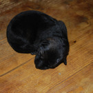 DSC_0466.JPG