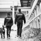 Streifendienst.jpg