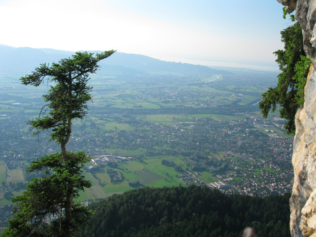 BK_kessikapf 8_jpg-1277761630