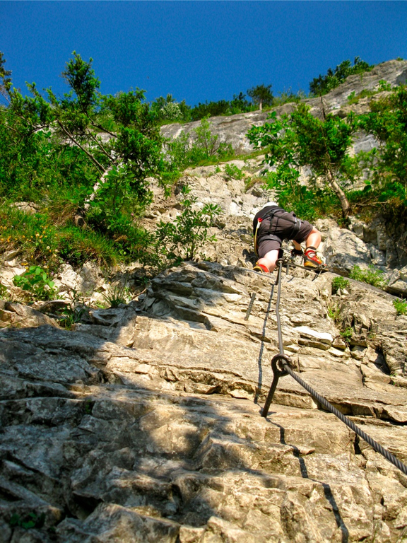 BK_kessikapf 31_jpg-1277761708