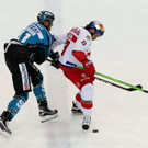 20161111fmt_rbsehl_ta_018.JPG