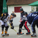 102_6684_jpg-1277765870