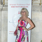 Wr Rotkreuz Ball 2016 - Rathaus - 11_11_2016 _11 von 206_.jpg