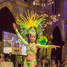 Wr Rotkreuz Ball 2016 - Rathaus - 11_11_2016 _2 von 17_.jpg