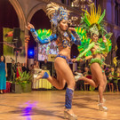 Wr Rotkreuz Ball 2016 - Rathaus - 11_11_2016 _3 von 17_.jpg