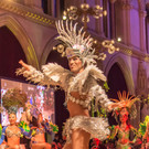 Wr Rotkreuz Ball 2016 - Rathaus - 11_11_2016 _10 von 17_.jpg