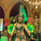 Wr Rotkreuz Ball 2016 - Rathaus - 11_11_2016 _204 von 206_.jpg
