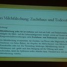 P1010806.JPG