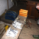 IMG_9874.jpg