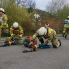 bild3.jpg