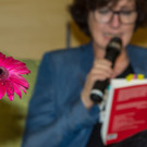 Buch Wien 16  13_11_2016 _13 von 92_.jpg