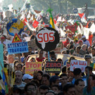 AFP_I246M.jpg