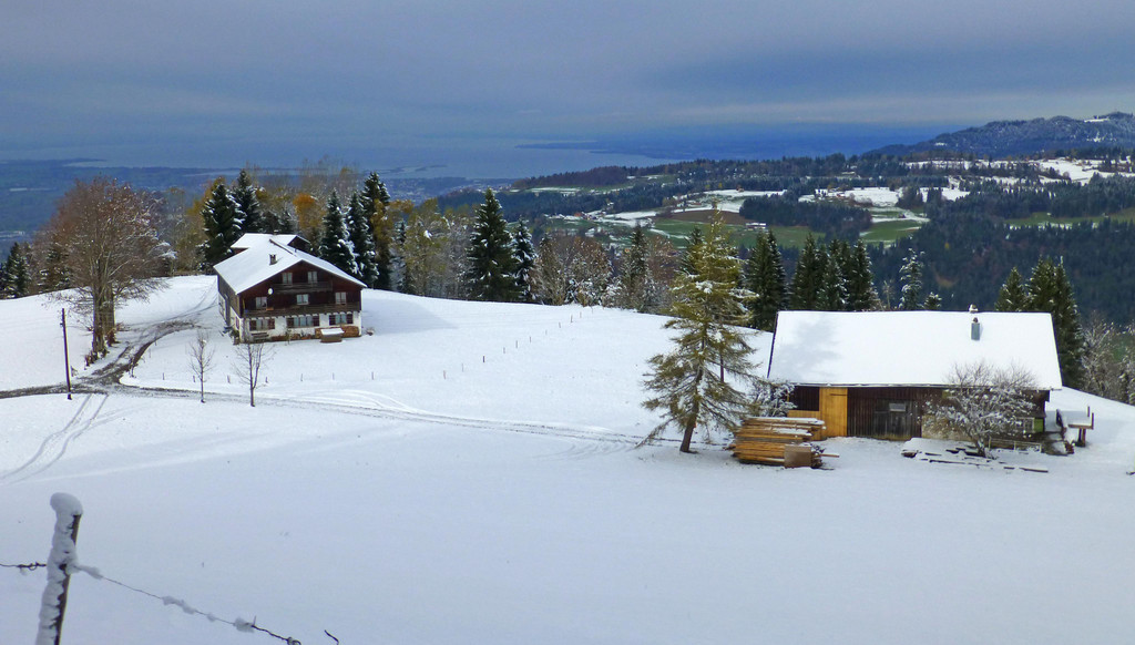 P1070329_1.jpg