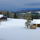 P1070329_1.jpg