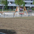 IMG_5465.JPG