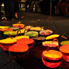 Martinsfest_2016 _1_.JPG