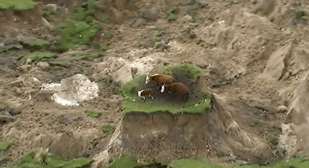 New_Zealand_Earthquake.jpg