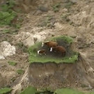 New_Zealand_Earthquake.jpg