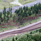 AFP_I26W7.jpg