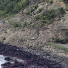 New_Zealand_Earthquake_1.jpg