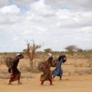 DAB1444-20110820.jpg