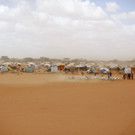 DAB1441-20110820.jpg
