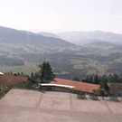 sulzberglive